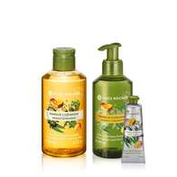 Sett - Mango Koriander (Håndsåpe, dusjgelé & håndkrem)