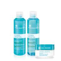 Sett - Hydra Végétal Normal to Combination (with milk)